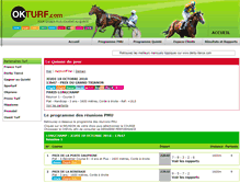 Tablet Screenshot of okturf.com